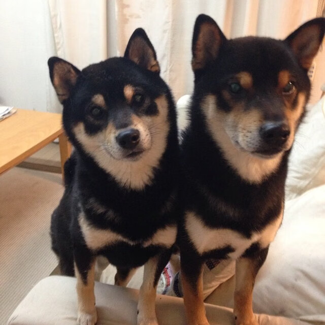 故乡的海风比南半球阳光更滚烫—蒙特卡洛之于西西帕斯，远非澳网所能及