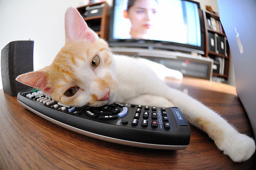 银箭与黄雀，蒙特卡洛的赛道棋局