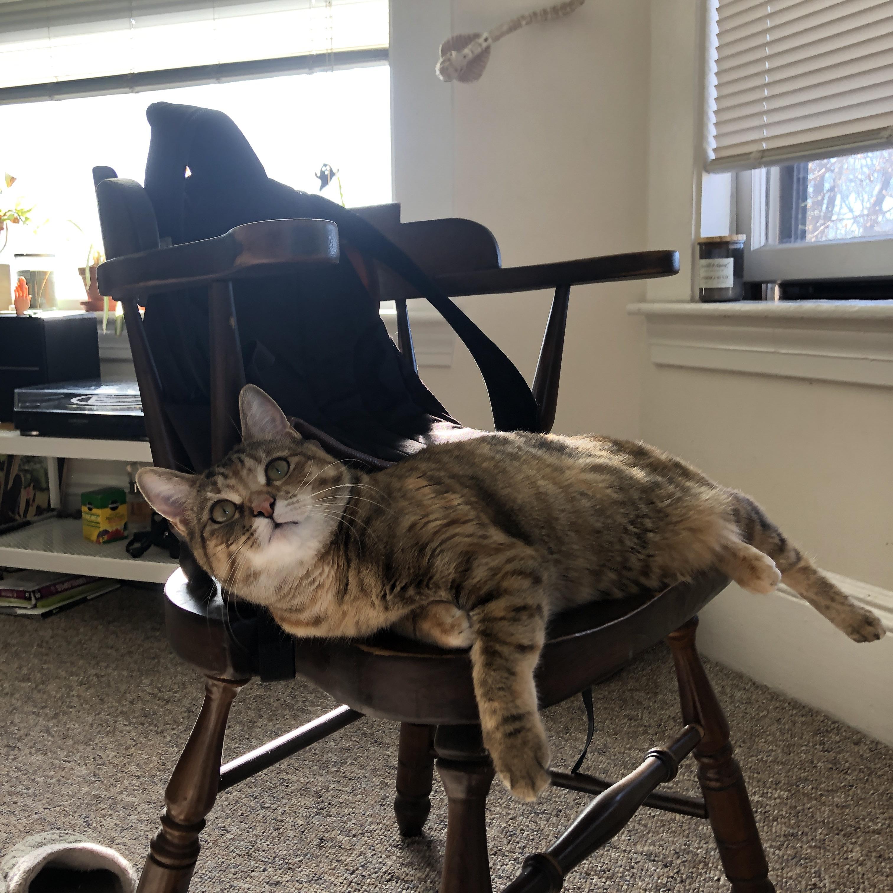 绿黑风暴席卷万达大都会,亚特兰大强压马竞,C罗终成关键先生