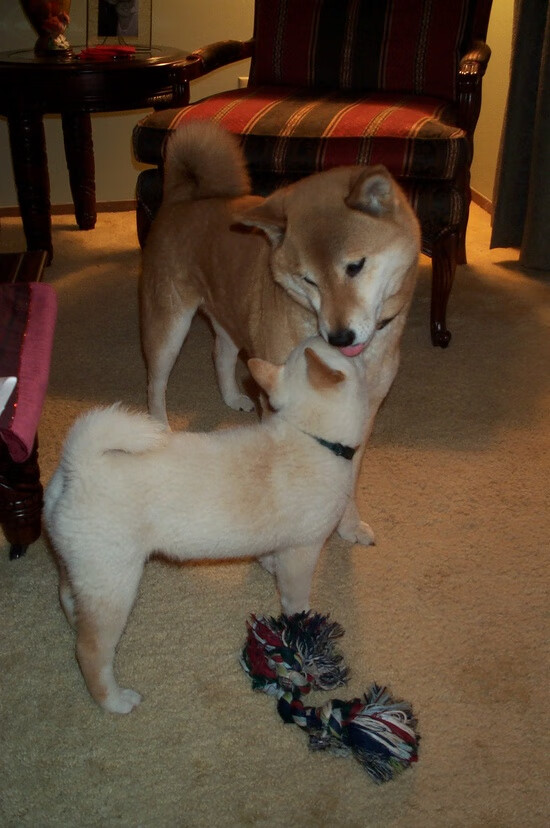 逆转狂澜，传奇之战铸就独行侠王朝启程