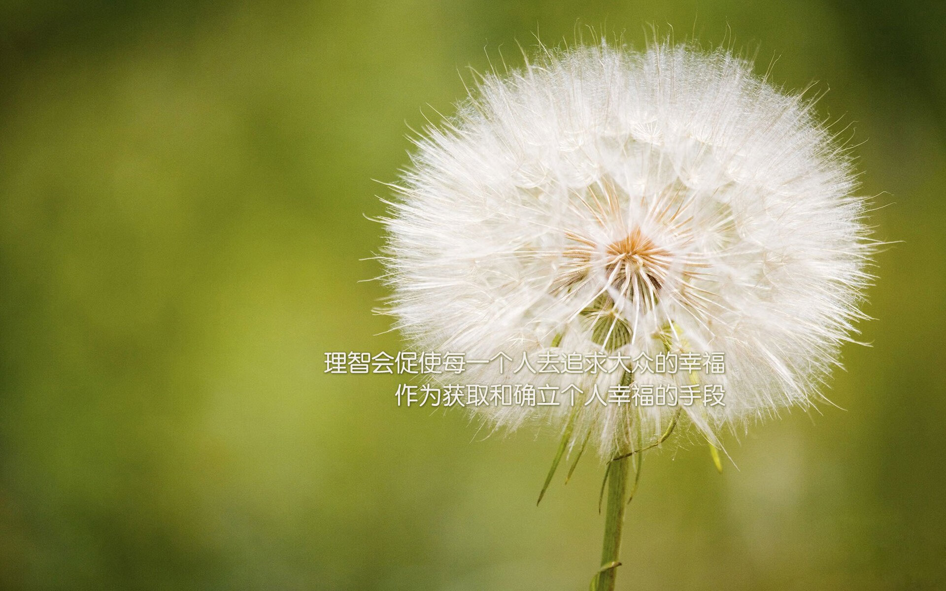 逆转狂澜，传奇之战铸就独行侠王朝启程