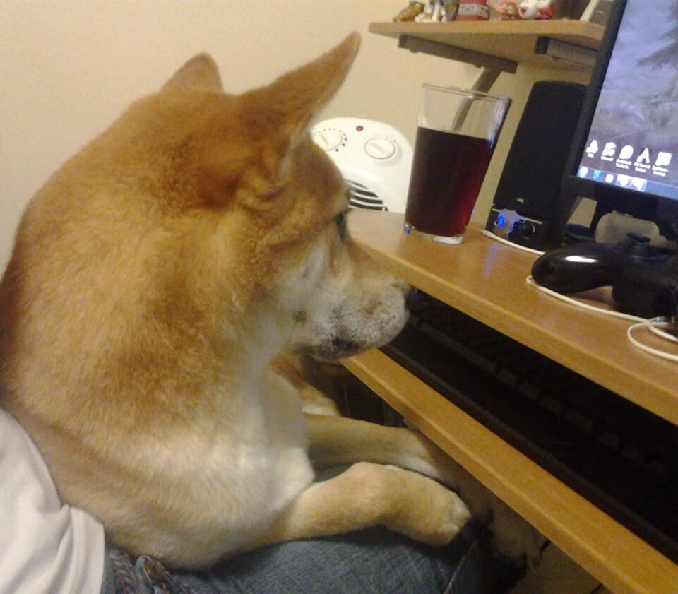 决定性瞬间，萨卡一箭穿心与哥伦比亚锁定胜局的唯一性启示