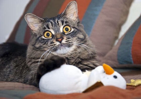 绝境五分钟，门将变奇兵，奥纳纳如何用一双漏球的手成为英雄？