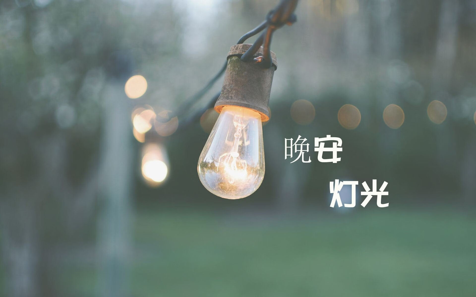（建议选择其中一个）