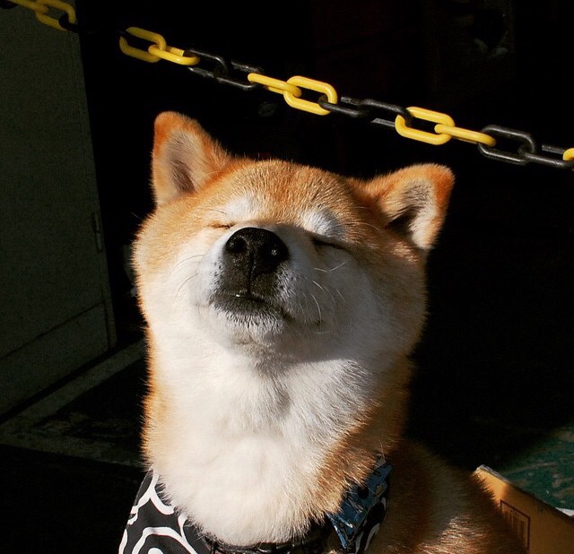 以热血铸就唯一,当泰国铁骑踏碎加拿大冰墙,登贝莱的逆转之火照亮世界杯黎明